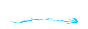 Vauhdikas Logo